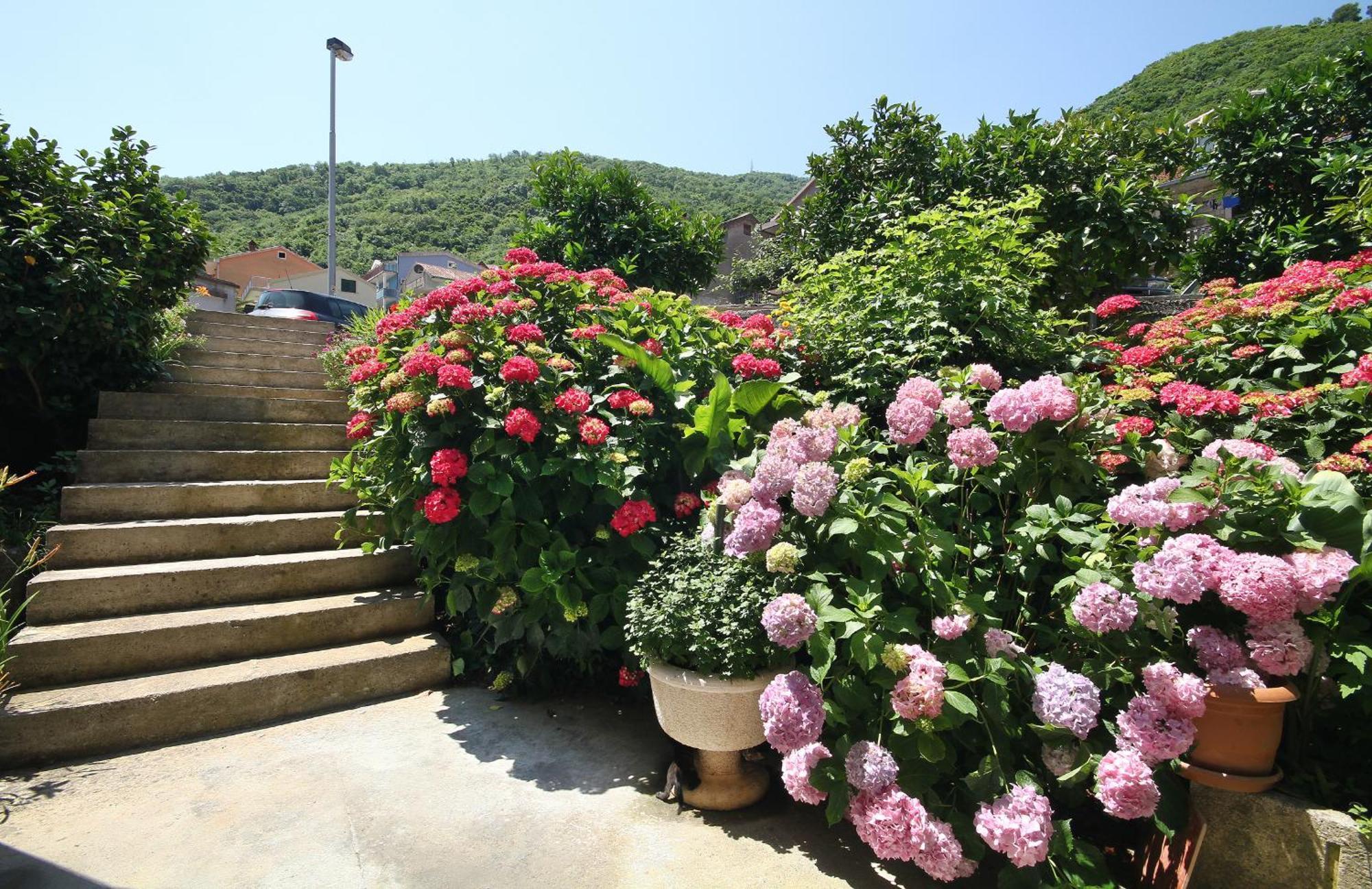 Apartments Raicevic Μπούντβα Εξωτερικό φωτογραφία